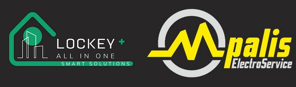 MpalisElectroService